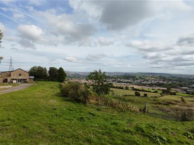 Picture 15